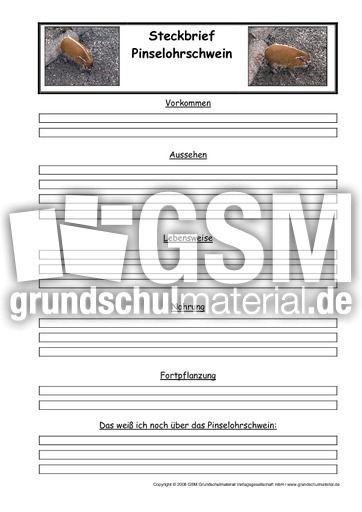 Pinselohrschwein-Steckbriefvorlage.pdf